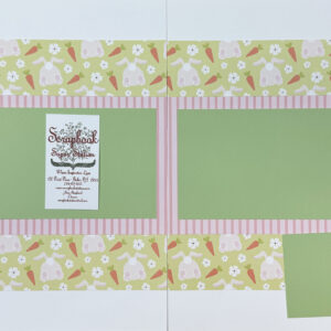 Echo Park Bunnies & Baskets Collection Cut Up*