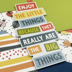 Echo Park Little Things Mean A Lot