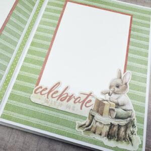 Graphic 45 Hip Hip Hooray Album