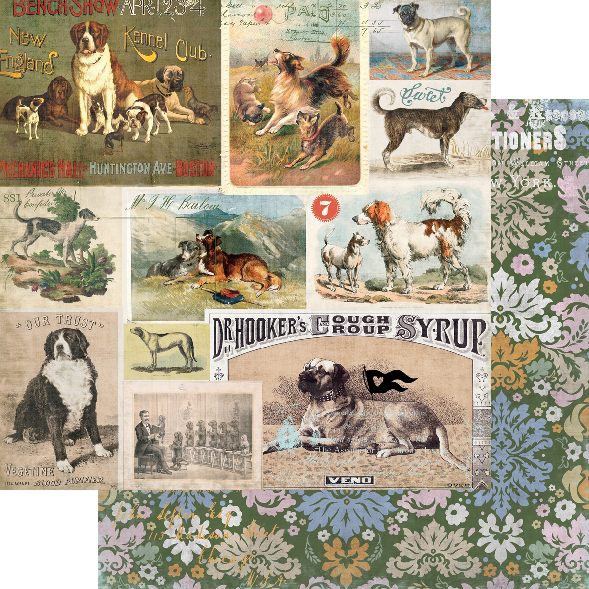 Fancy Pants Spot & Oliver 12X12 Mans Best Friend