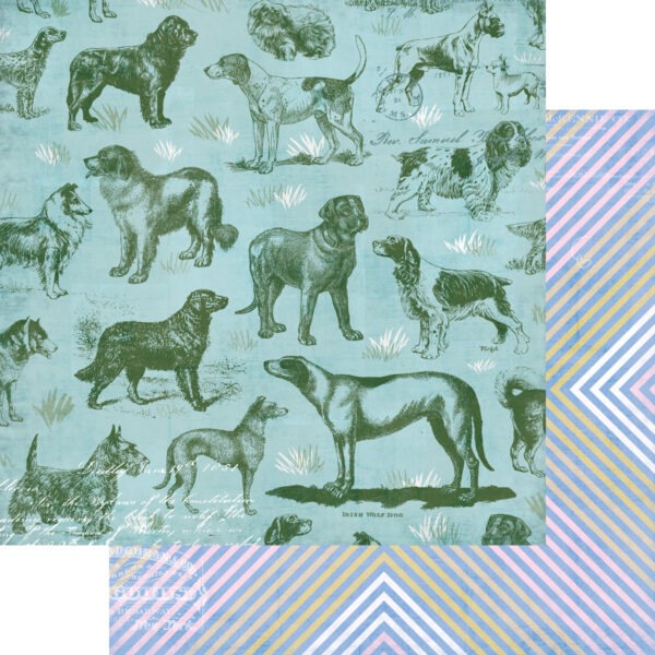 Fancy Pants Spot & Oliver 12X12 Doggy Dog World Fancy Pants Spot & Oliver 12X12 Doggy Dog World