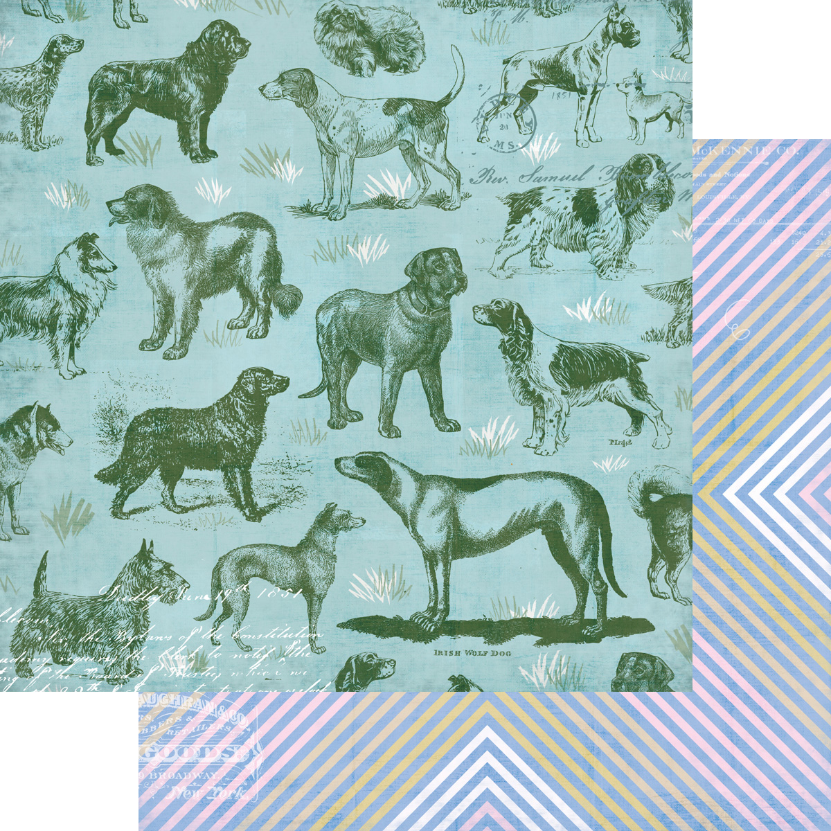 Fancy Pants Spot & Oliver 12X12 Doggy Dog World