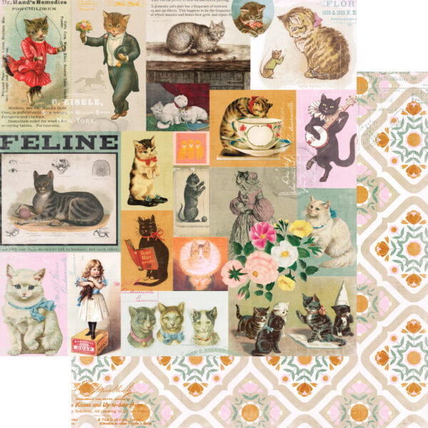 Fancy Pants Spot & Oliver 12X12 Pretty Kitty