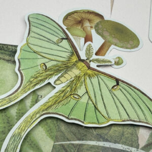 Fancy Pants Fairy Garden