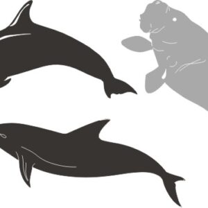 Petticoat Parlor Manatee & Dolphins