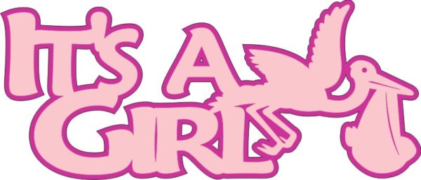 Petticoat Parlor Its A Girl