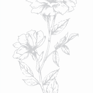 LDRS Press+Foil Plate Victorian Petals