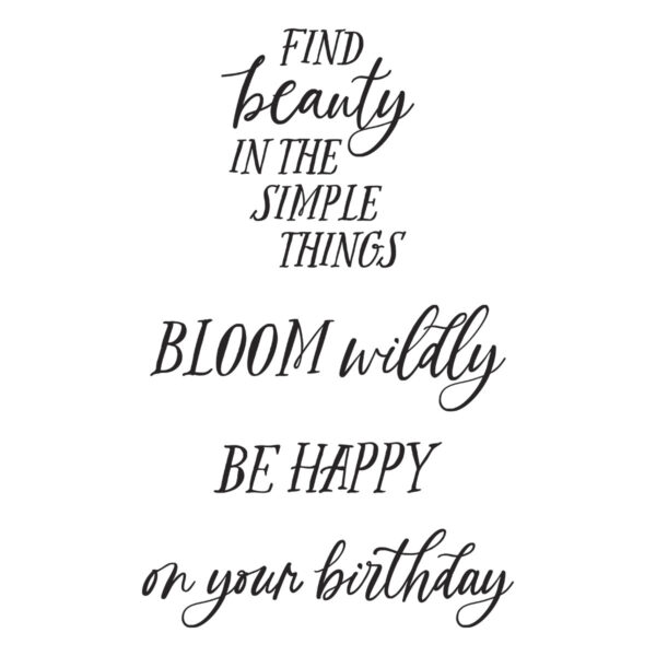 Spellbinders Field Notes Sentiments Clear Stamp Set From the Field Notes Collection