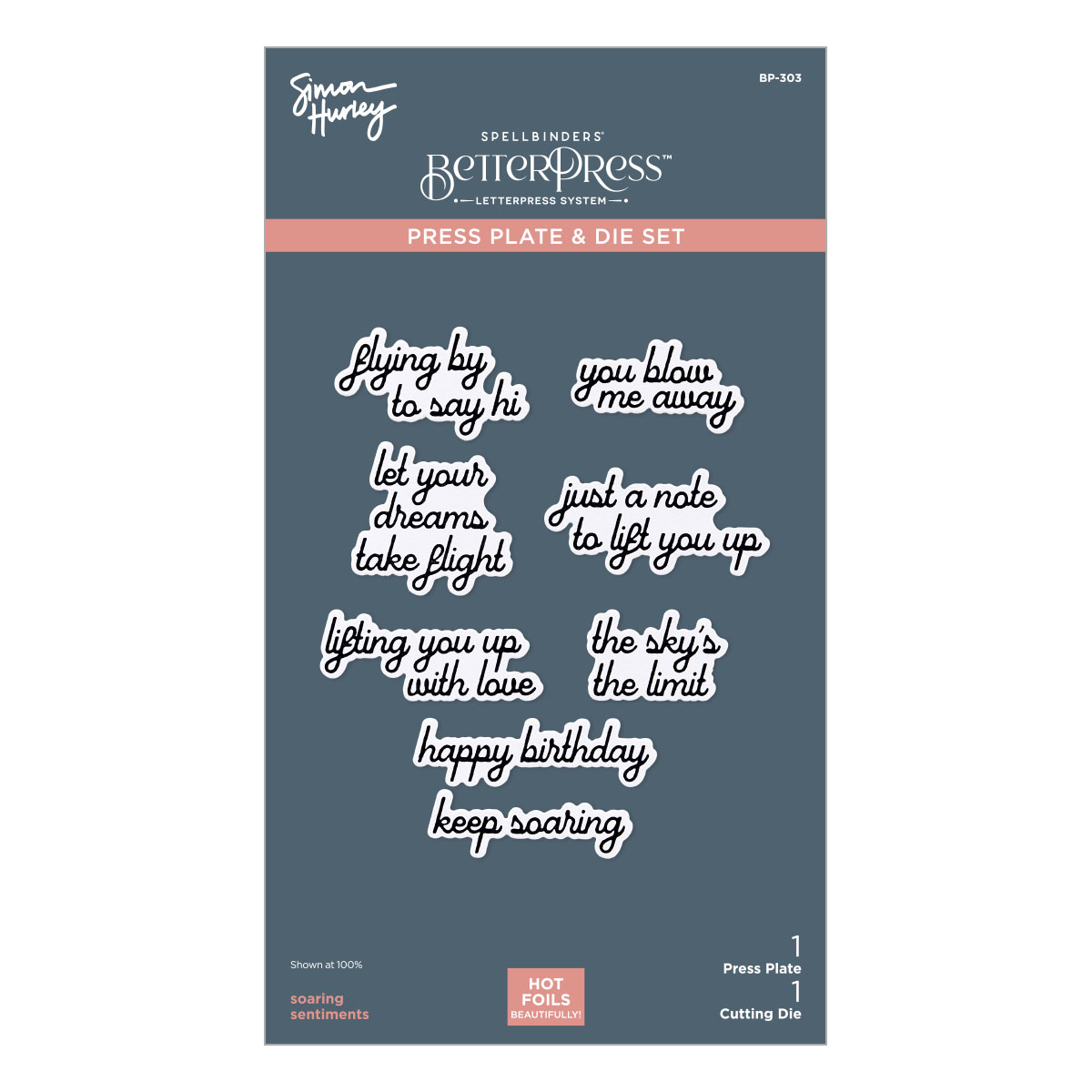 Spellbinders Soaring Sentiments Press Plate & Die Set From the Sky's the Limit Collection By Simon Hurley