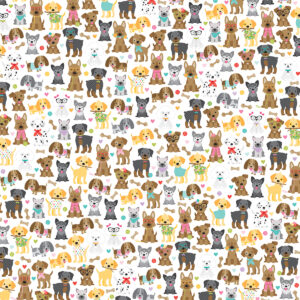 BB Bow Wow 12X12 Dog Pack
