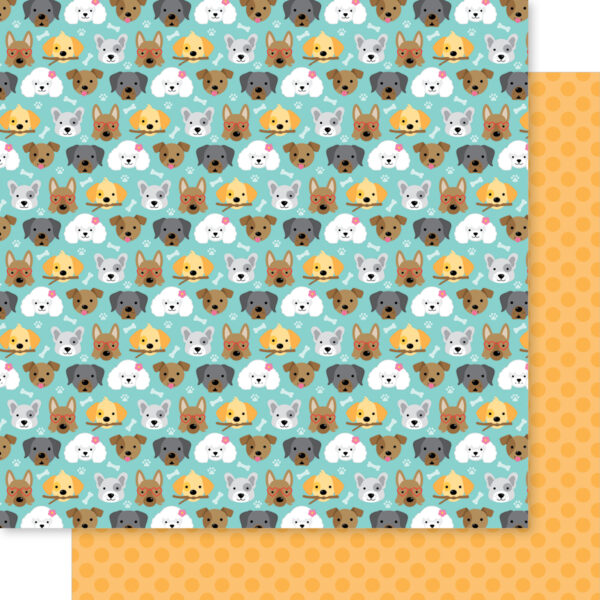 BB Bow Wow 12X12 Puppy Eyes BB Bow Wow 12X12 Puppy Eyes