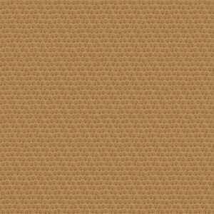 BB Bow Wow 12X12 Pawsitive Vibes