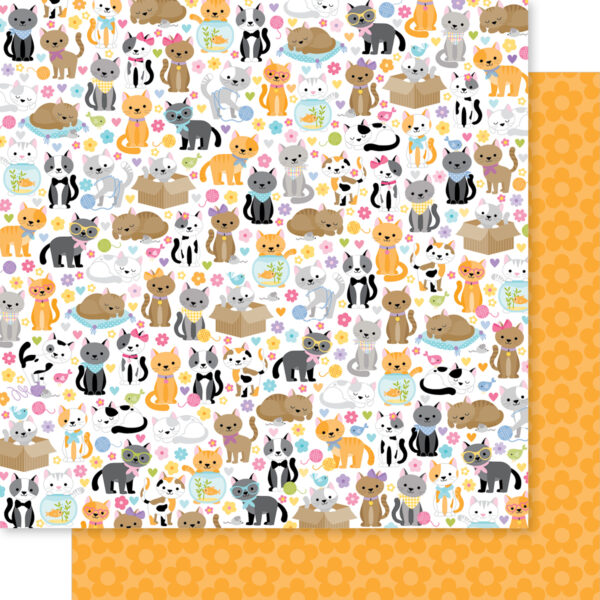 BB Meow 12X12 Cats Live Here BB Meow 12X12 Cats Live Here