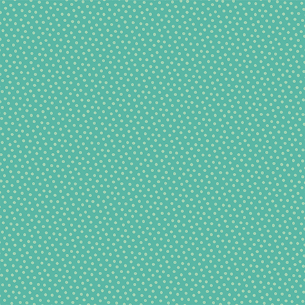 Ep Summer Break 12X12 Roller Rink Rides