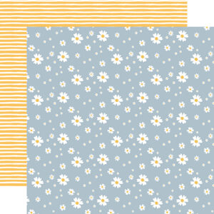 Ep Firefly 12X12 Shining Daisies