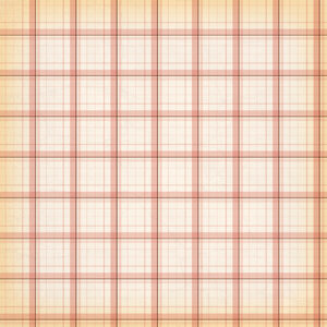 CB Cowgirl 12X12 Darling Plaid