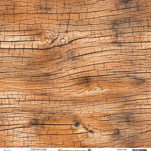 Mintay Wildwood Secrets 12X12 #01