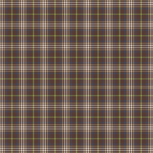 Simple Stories Simple Vintage Woodlands 12X12 Let's Explore