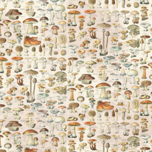 Simple Stories Simple Vintage Woodlands 12X12 Get Outdoors