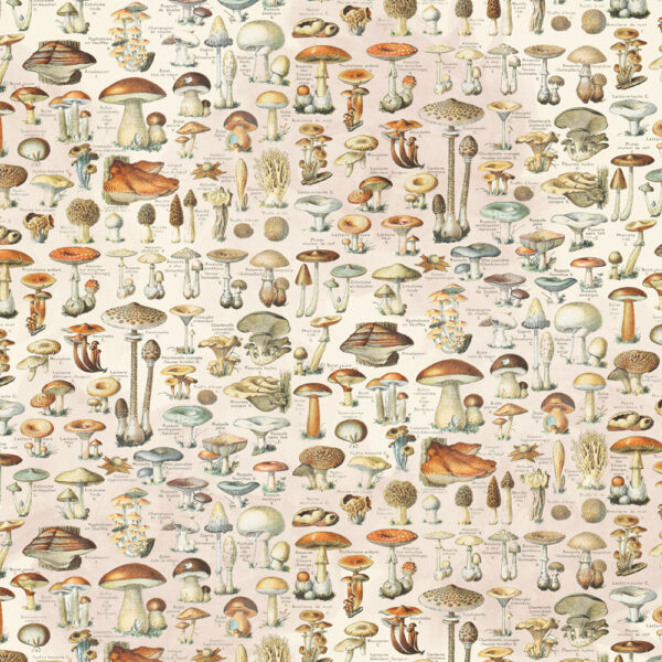 Simple Stories Simple Vintage Woodlands 12X12 Get Outdoors