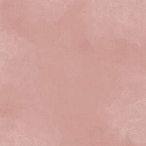 Simple Stories Simple Vintage Woodlands 12X12 Desert Rose