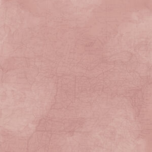 Simple Stories Simple Vintage Woodlands 12X12 Desert Rose