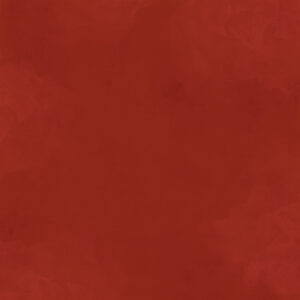 Simple Stories Simple Vintage Woodlands 12X12 Redwood