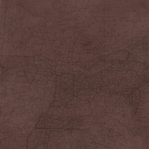 Simple Stories Simple Vintage Woodlands Chestnut