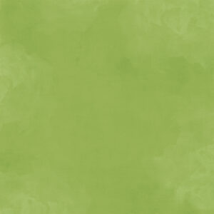 Simple Stories Simple Vintage Woodlands Fern