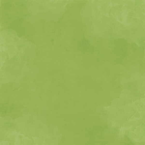 Simple Stories Simple Vintage Woodlands Fern