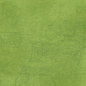 Simple Stories Simple Vintage Woodlands Fern