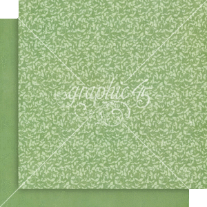 Graphic 45 Fairy Boutique 12X12 Spring Green Pattern & Solid Sheet