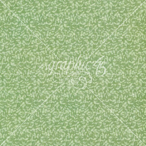 Graphic 45 Fairy Boutique 12X12 Spring Green Pattern & Solid Sheet