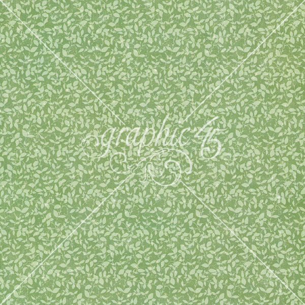 Graphic 45 Fairy Boutique 12X12 Spring Green Pattern & Solid Sheet