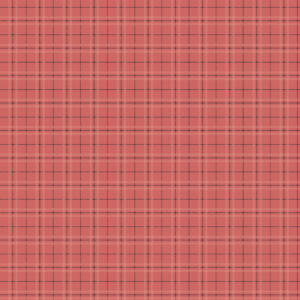 Echo Park Fashion 12X12 Chic Accessories