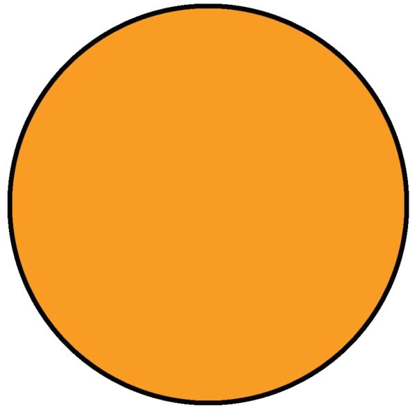 RANGER SIMON HURLEY STELLAR INK GUPPY