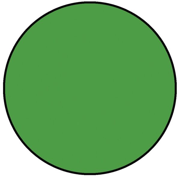 RANGER SIMON HURLEY STELLAR INK LATER GATOR