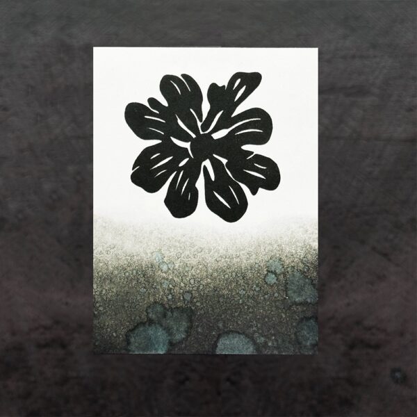 RANGER SIMON HURLEY STELLAR INK BLACK WIDOW