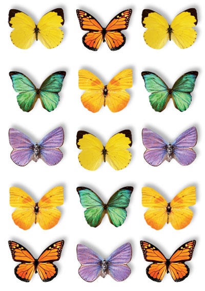 PAPER HOUSE STICKER BUTTERFLIES POP UP