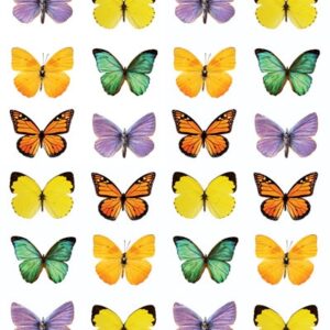 PAPER HOUSE STICKER SMALL BUTTERFLY