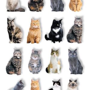 PAPER HOUSE STICKER CATS POP UP