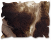 RANGER DISTRESS INK PAD WALNUT STAIN