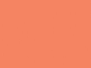 TOMBOW DUAL BRUSH 873 CORAL