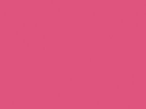 TOMBOW DUAL BRUSH 743 HOT PINK