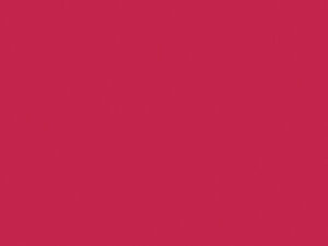 TOMBOW DUAL BRUSH 847 CRIMSON