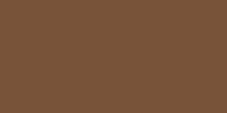 TOMBOW DUAL BRUSH 969 CHOCOLATE