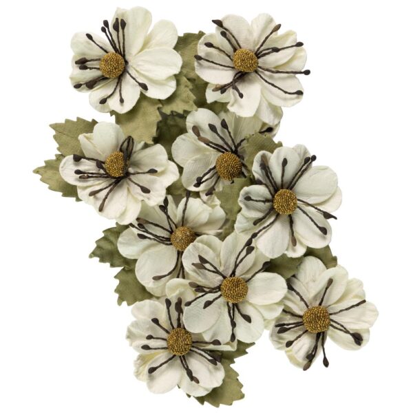 LITTLE BIRDIE FLOWERS WENDY AMOR MIO