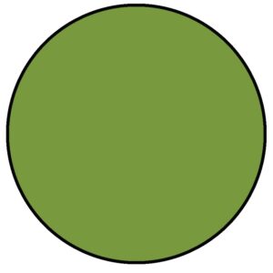 RANGER SIMON HURLEY INK STELLAR FORE!