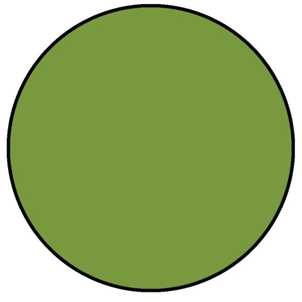 RANGER SIMON HURLEY INK STELLAR FORE!