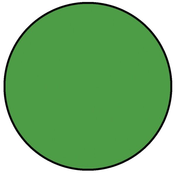 RANGER SIMON HURLEY INK STELLAR LATER GATOR